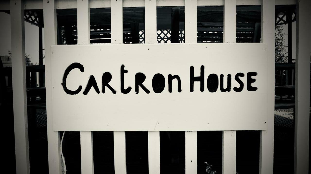 Bed and Breakfast Cartron House Ballinakill  Exterior foto
