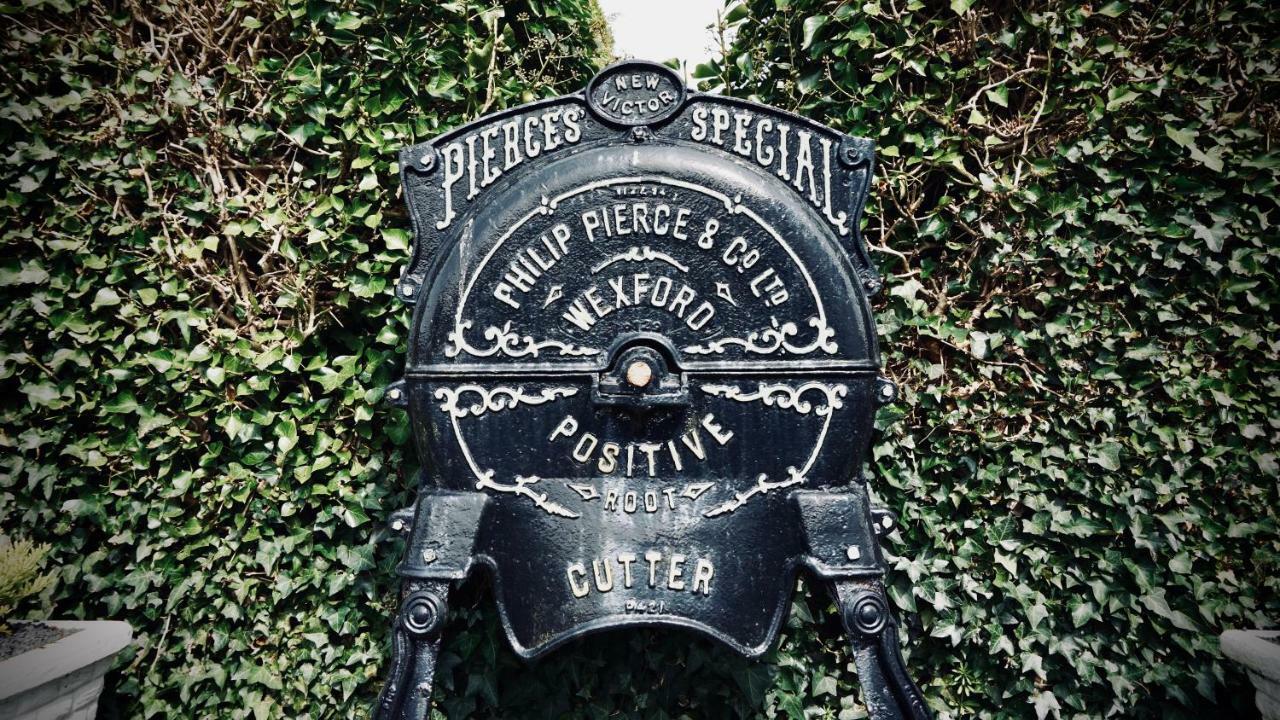 Bed and Breakfast Cartron House Ballinakill  Exterior foto
